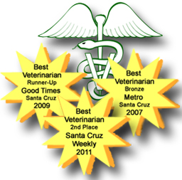 Voted Best Veterinarian - Santa Cruz